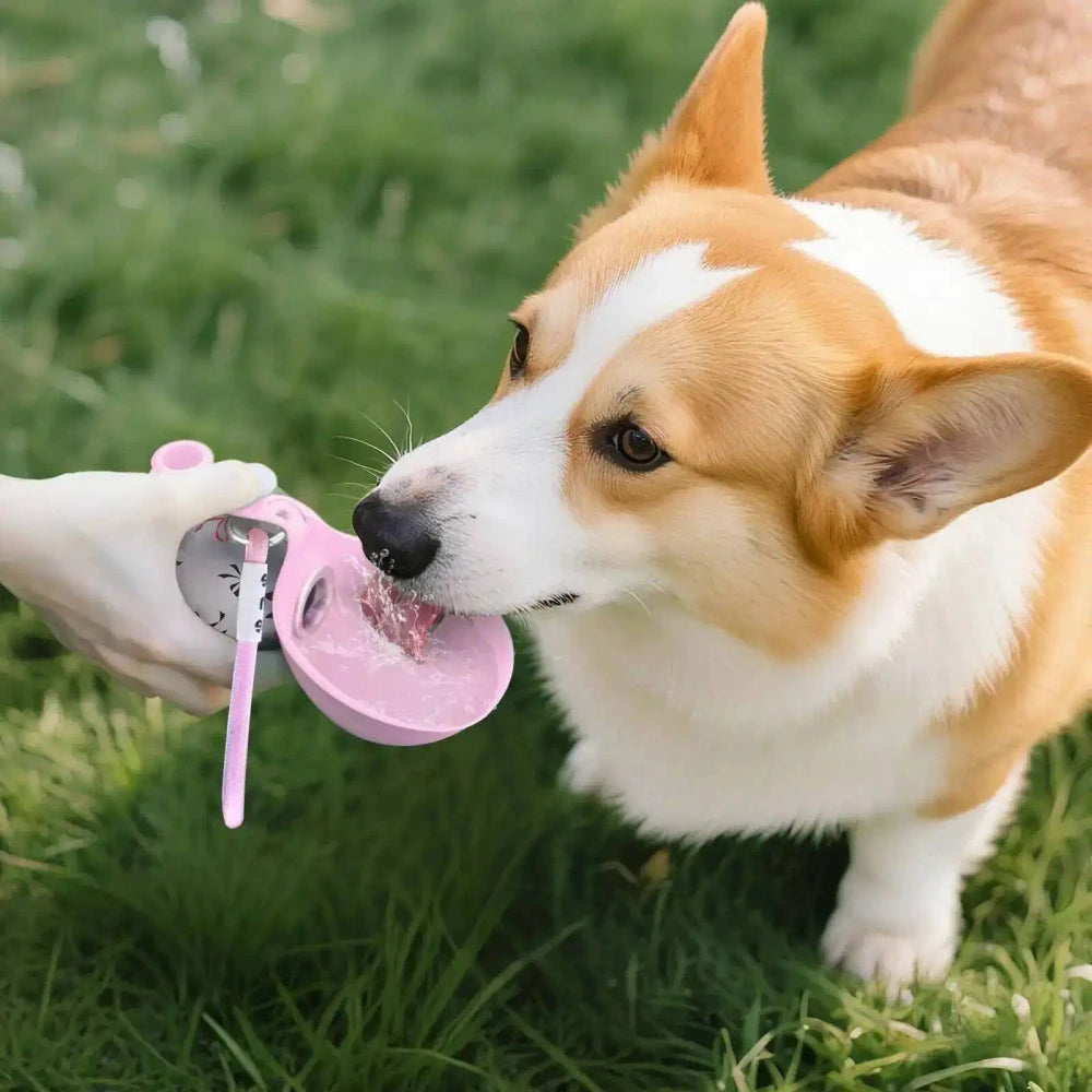 Portable Stainless Steel Dog Water Bottle