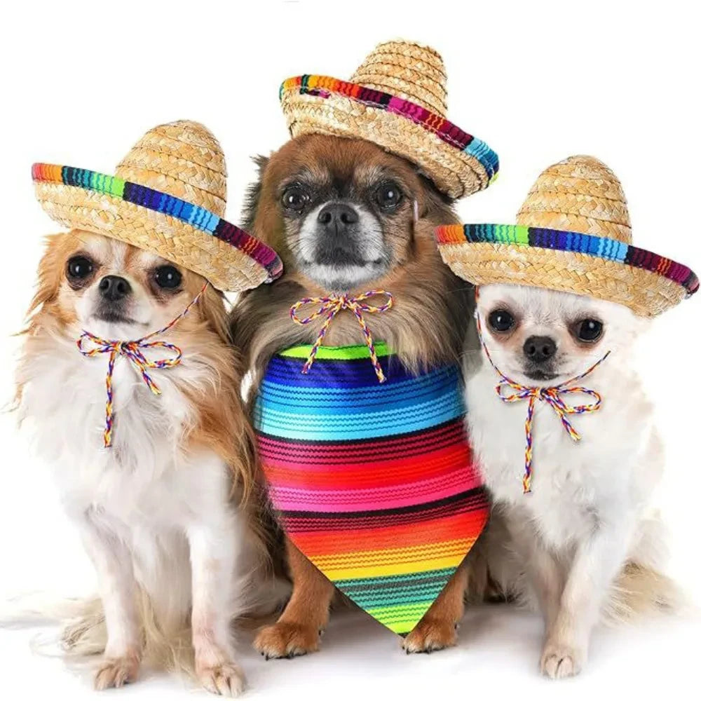 Woven Mexican Sombrero Pet Hat