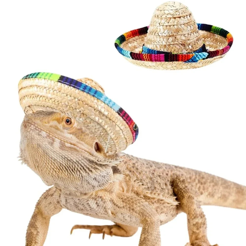Woven Mexican Sombrero Pet Hat