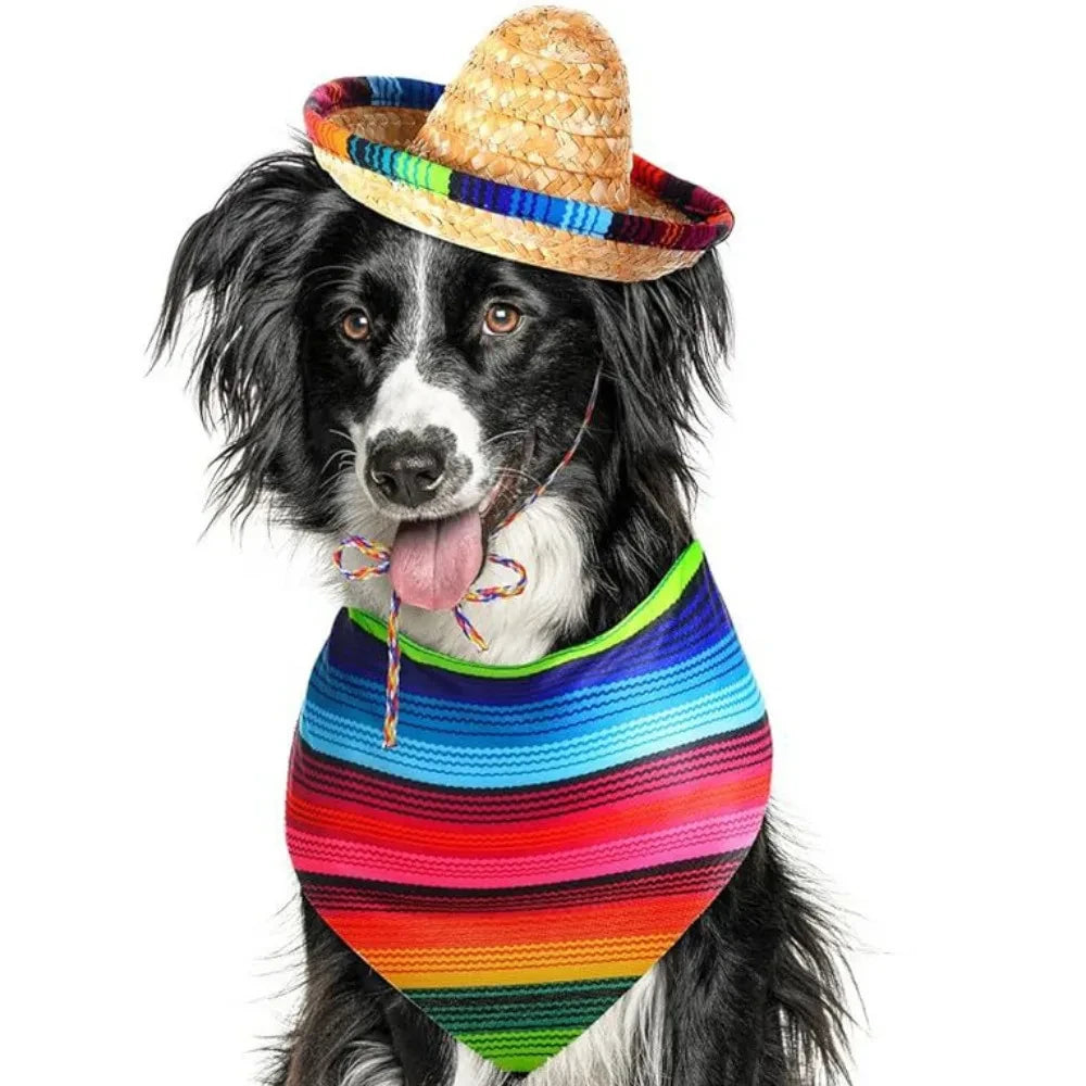 Woven Mexican Sombrero Pet Hat