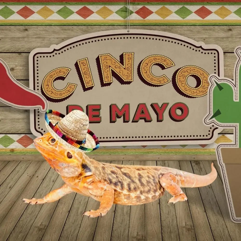 Woven Mexican Sombrero Pet Hat