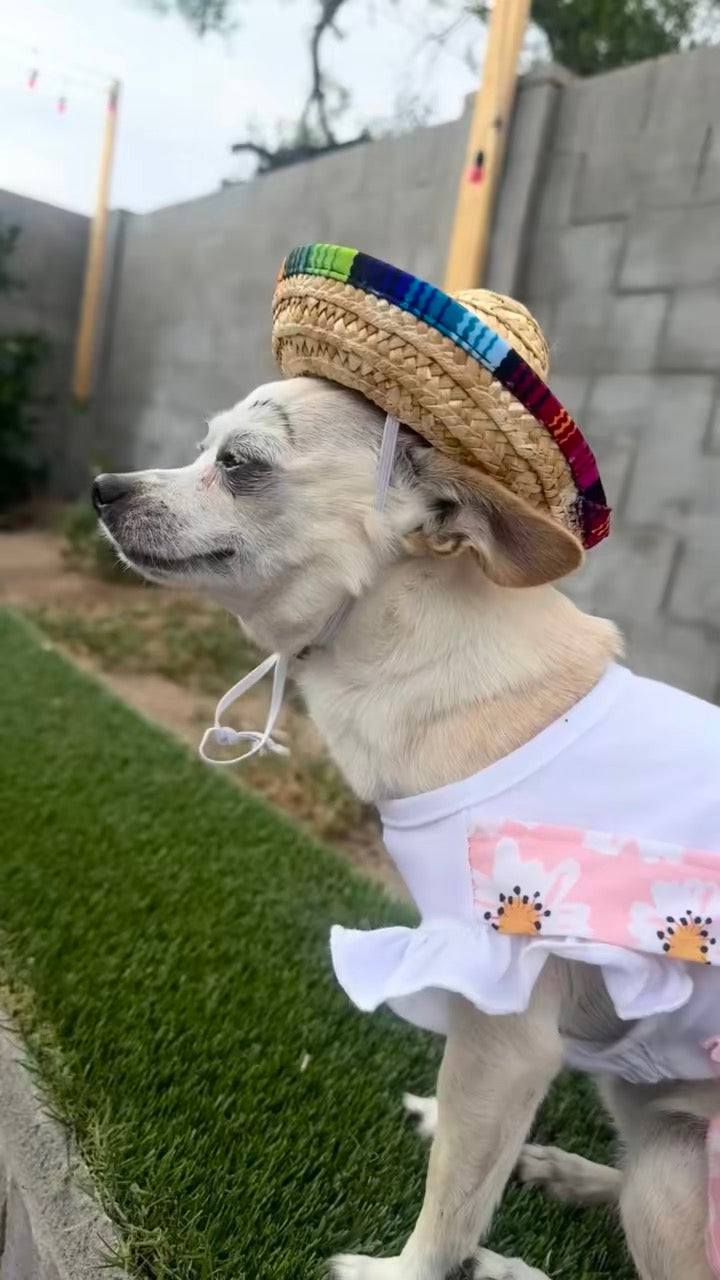 Woven Mexican Sombrero Pet Hat